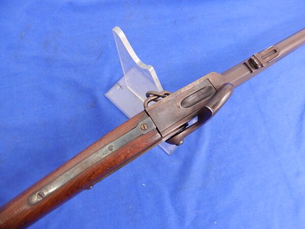 Cosmopolitan Carbine - Image 5