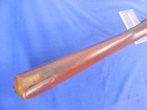 Blunt Enfield Rifle Musket - Image 8